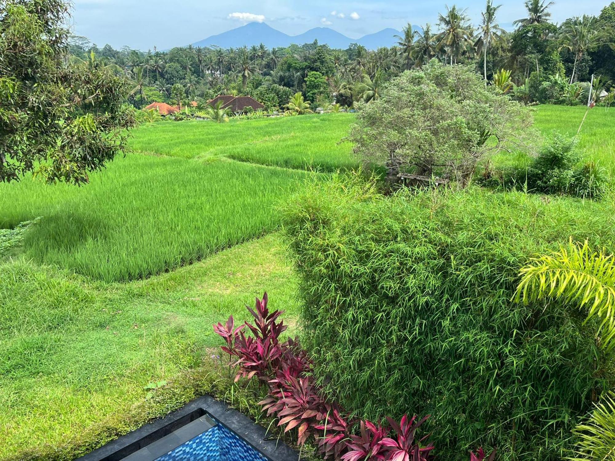 Maple Ridge Ubud Villas Buitenkant foto